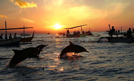 lovina-sunrise-dolphin