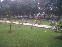 Menikmati Sore di Hutan Kota