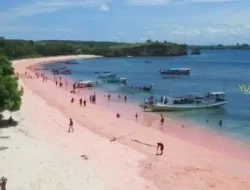 Unik, Indonesia Bangga Punya Pink Beach