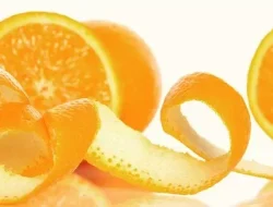5 Manfaat Kulit Jeruk yang Jarang Kamu Ketahui