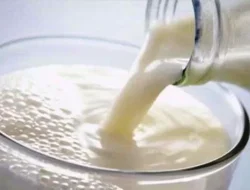 Inovasi Unik Agar Susu Tak Cepat Basi