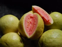 10 Manfaat Kesehatan yang Dimiliki Jambu Biji
