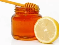 Madu dan Jeruk Obat Batuk Paling Ampuh