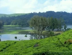 Liburan Sejuk dan Tenang di Situ Patenggang dengan Batu Cintanya