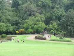 Berlibur ke Kebun Raya Bogor yang Sejuk dan Asri