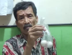 Aneh, Pria Asal Jakarta Ini Bisa Bertelur