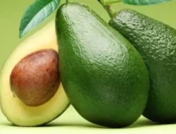 Ini 8 Makanan Pembasmi Racun dalam Tubuh