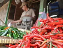 Harga Cabai di Bekasi Kian Pedas