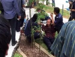 Gempar, WNI Merampok di Kawasan Bisnis Singapura pada Siang Bolong