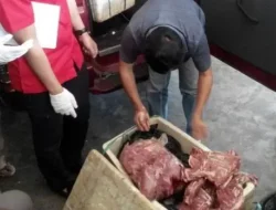 1 Ton Daging Celeng di Bekasi Batal Diedarkan, Kenapa ?