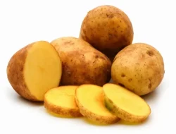 Manfaat Kentang yang Jarang Kita Ketahui