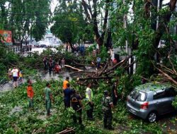 Pemkot Bekasi Gelontorkan Anggaran Rp 200 Juta untuk Pangkas Pohon