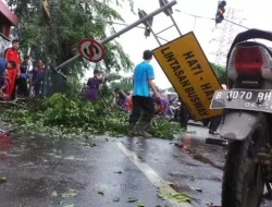 Tertimpa Pohon Tumbang di Bekasi Tidak Kena Ganti Rugi