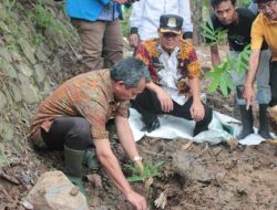 Konservasi Kali Bekasi Butuh 100 Ribu Pohon Bambu
