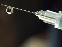 Virus Rabies Mewabah, Dua Kabupaten di Kalbar Diisolasi