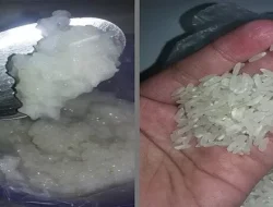 Ini Bahaya Bagi Kesehatan Jika Konsumsi Beras Plastik