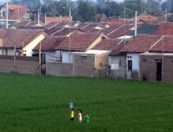 Banyak Bangunan, Lahan Pertanian Kota Bekasi Nyaris Habis