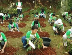 Jangan Cuma Tanam Beton, Pemkot Bekasi Harus Rajin Tanam Pohon