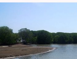 Indahnya Pantai Muara Beting Bekasi yang Belum Banyak Dijamah Orang