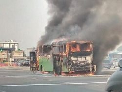 Bus Mayasari Bakti AC 52 Bekasi-Tanah Abang Terbakar di Tol