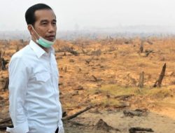 Soal Setya Novanto, Ini Transkrip Lengkap Jokowi Marah