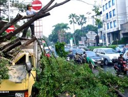 Pohon Pinggir Jalan di Kota Bekasi Belum ‘Diasuransikan’