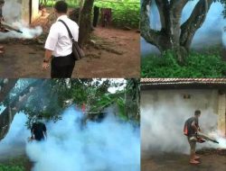 3 Orang Meninggal karena DBD, Desa Taman Sari Di-Fogging