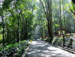 Begini Gambaran Hutan Kota Medan Satria yang Bakal Dibangun Pemkot Bekasi