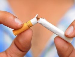 Danang Nyolong Cucak Ijo karena Terobsesi Beli Rokok Bungkusan