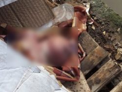 Mayat Bayi dalam Kardus Ditemukan di Bekasi Timur