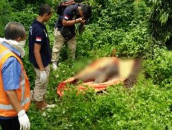 Mayat Busuk Ditemukan di Semak-semak Tol Bekasi Timur