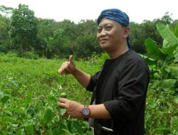 Buru Rekomendasi, Politikus PDIP Ini Pilih Blusukan