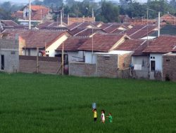 Banyak Lahan Pertanian Jadi Perumahan, Ini Kata Bupati Bekasi