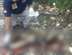 Terseret Banjir, Bocah Rawa Bebek Ditemukan Tewas Membusuk di Got