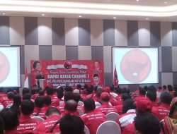 Banteng Gemuk Tak Bisa Nyeruduk