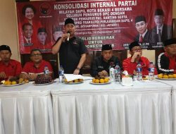 Ahmad Faisyal, Muda Berjaya di Panggung Politik