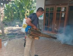 Wabah DBD Mengancam, Warga Bekasi Diimbau Berantas Sarang Nyamuk