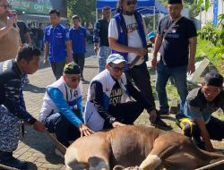 Momen Idul Adha, DPD PAN Kota Bekasi Potong Tiga Sapi Kurban