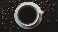 Jenis-jenis Kopi yang Wajib Diketahui Pecinta Kopi