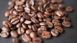 Mengenal Perjalanan Secangkir Kopi, dari Kebun Sampai Kita Minum