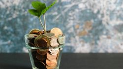 Panduan Sederhana: Cara Mengatur Keuangan Pribadi untuk Mencapai Financial Freedom